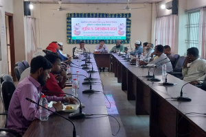 মাধবপুরে দুর্যোগ প্রশমন দিবস উদযাপন