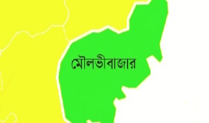 বড়লেখায় পরোয়ানাভুক্ত চার আসামি গ্রে প্তা র, আদালতে প্রেরণ