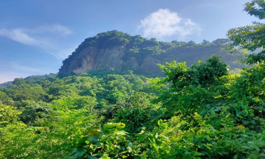 নিখোঁজের চারদিন পর পাহাড় থেকে হাত-পা বাঁধা যুবকের লাশ উদ্ধার