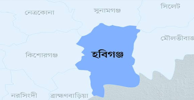 হবিগঞ্জে ব জ্র পা তে প্রা ণ গেল শিশুর