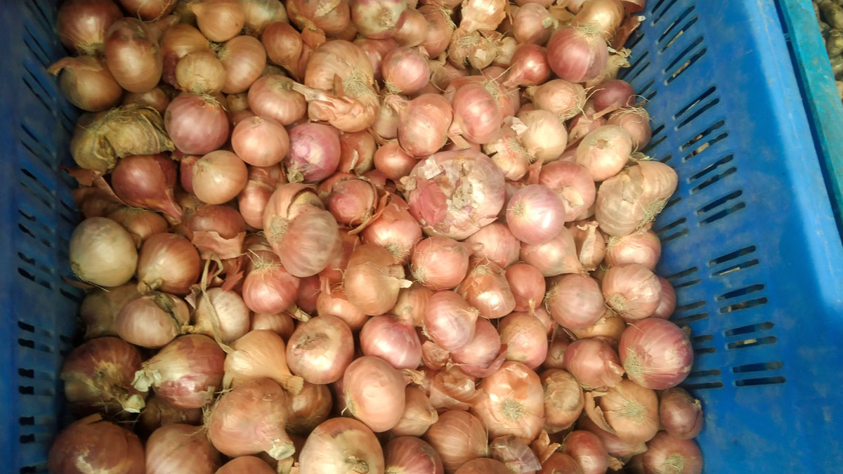 এখনো বাড়তি দামে বিক্রি হচ্ছে পেঁয়াজ