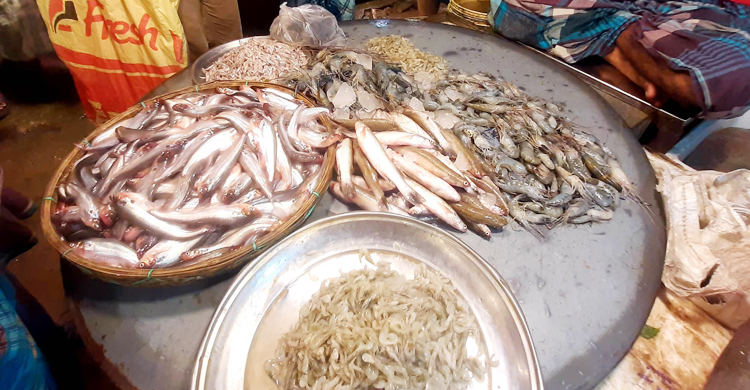 সবজিতে স্বস্তি নেই, ঝাল বেড়েছে কাঁচা মরিচের