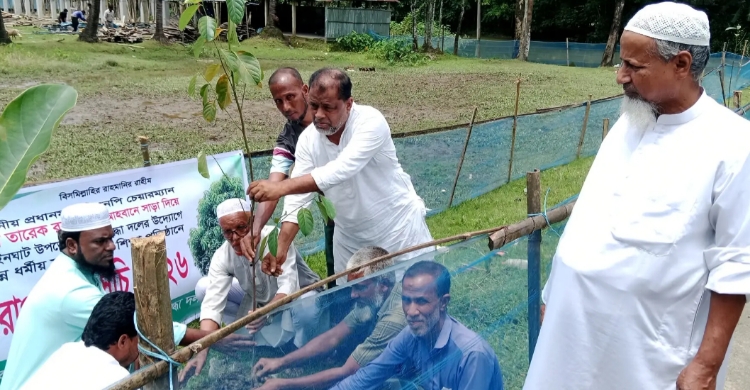 গোয়াইনঘাটে শিক্ষা প্রতিষ্ঠানে মুক্তিযোদ্ধা দলের বৃক্ষরোপন কর্মসূচি