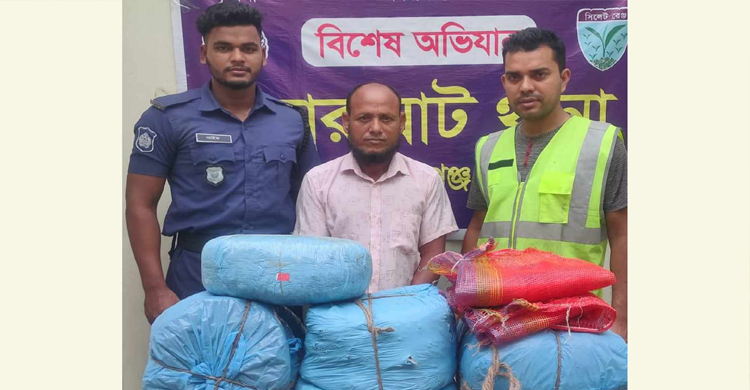 চুনারুঘাটে গোয়াল ঘরে মিললো গাঁজা