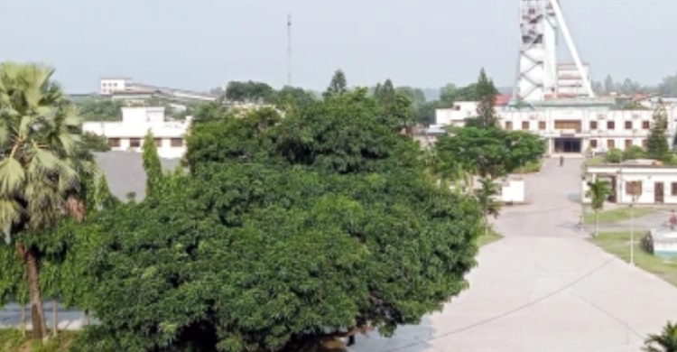 মধ্যপাড়া খনিতে পাথর উত্তোলন বন্ধ, দুই সপ্তাহে স্বাভাবিক হওয়ার আশা