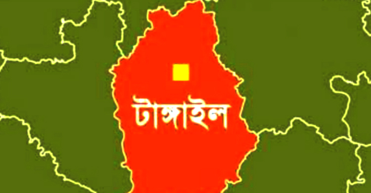 ধনবাড়ীতে বাস-সিএনজির সং ঘ র্ষে নি হ ত ৩