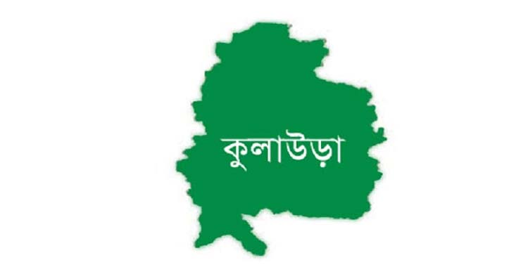 কুলাউড়ার শরীফপুরে ইয়াবাসহ দুই সহোদর আ ট ক