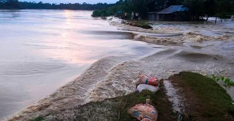 মৌলভীবাজারে বাঁধ ভে'ঙে পানিব'ন্দি মানুষ