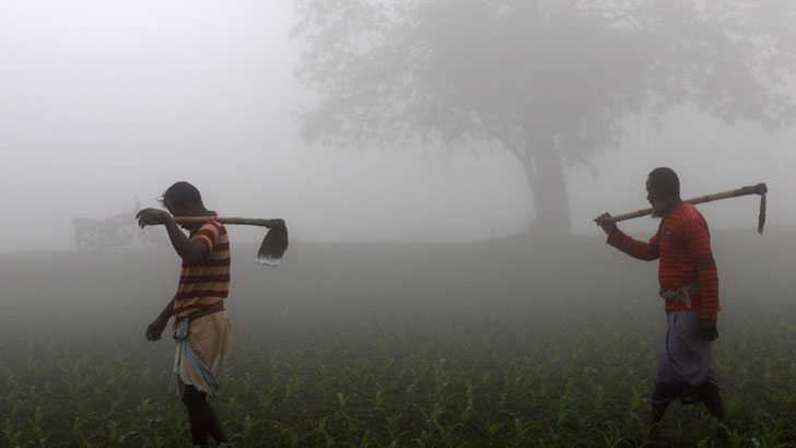 চলতি সপ্তাহে বয়ে যেতে পারে শৈত্যপ্রবাহ