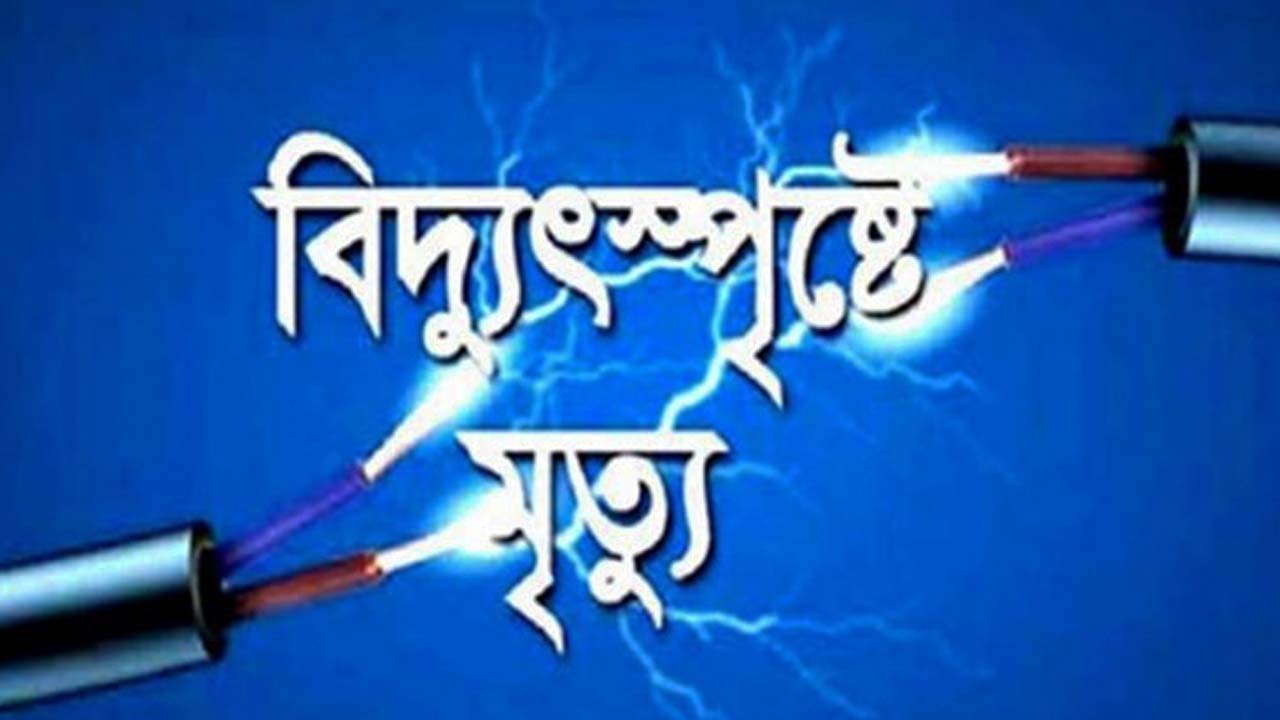 সঞ্চালন লাইনে কাজ করতে গিয়ে বিদ্যুৎ-শ্রমিকের মৃ ত্যু