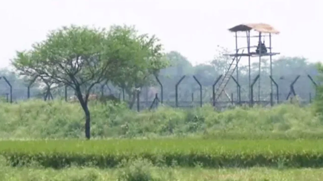 গোদাগাড়ী সীমান্তে মিলল দুই যুবকের মরদেহ