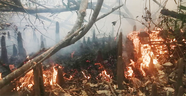 সুন্দরবনের কলমতেজী এলাকায় আ গু ন