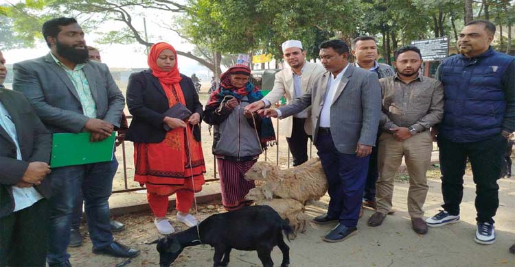 জাতীয় সমাজসেবা দিবসে দোয়ারাবাজার উপজেলা সমাজসেবা কার্যালয়ের নানা আয়োজন