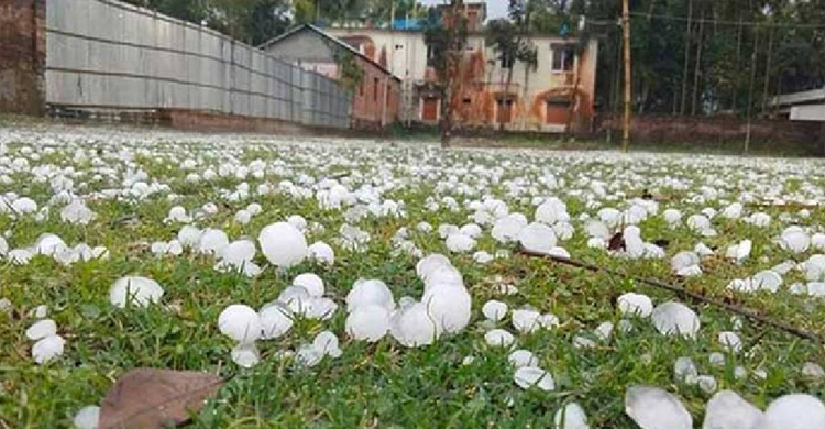 হবিগঞ্জে কালবৈশাখী-শিলাবৃষ্টিতে ব্যাপক ক্ষয়ক্ষতি