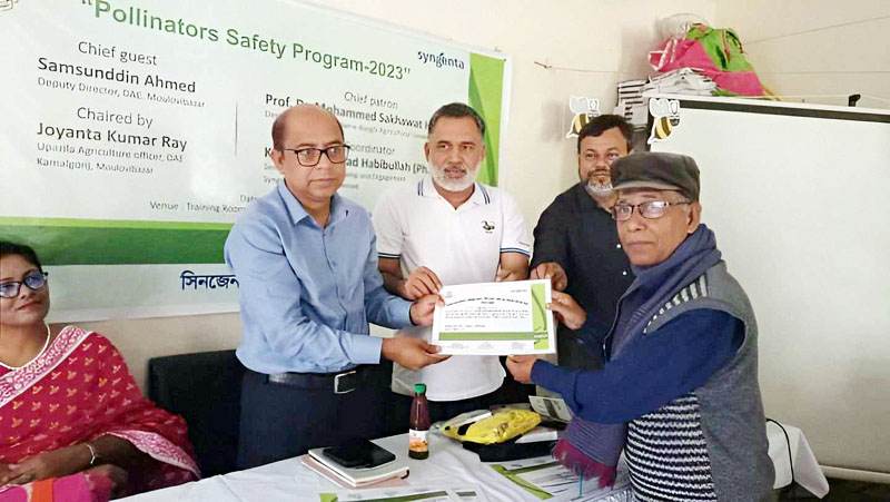 পর্যাপ্ত সুযোগ-সুবিধা পেলে কমলগঞ্জ হবে মধুচাষের &lsquo;ব্র্যান্ডিং জোন&rsquo;