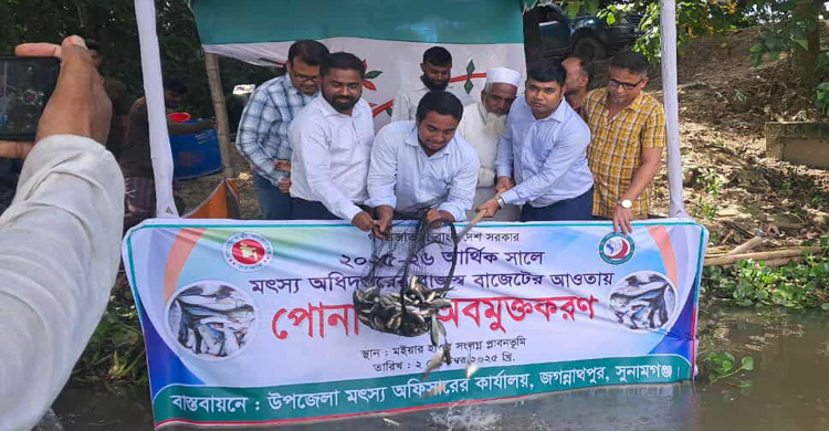 জগন্নাথপুরে হাওর ও জলাশয়ে মাছের পোনা অবমুক্তকরণ