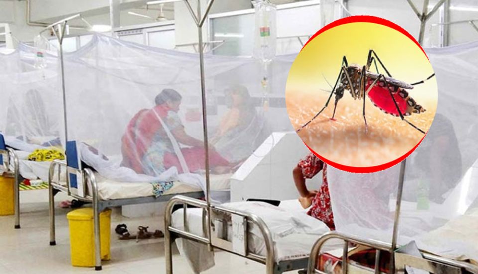 সিলেট বিভাগে ডেঙ্গুতে আ'ক্রান্ত আরও ৮ জন