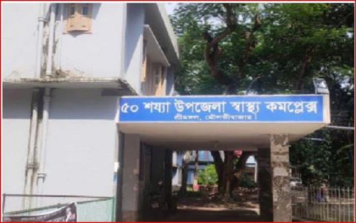 শ্রীমঙ্গলে শিয়াল-বানর-বিড়াল ও কুকুরের কাম*ড়ে ২৩ জন আহ*ত, এলাকায় আত*ঙ্ক