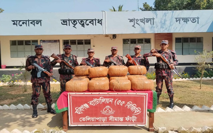 মাধবপুরে  ৫৫ বিজিবির অভিযানে ৭৩ কেজি ভারতীয় গাঁ জা জ*ব্দ
