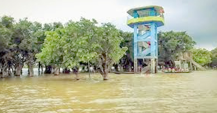 টাঙ্গুয়ার হাওরের ওয়াচ-টাওয়ার ঘিরে হাউজবোট চলাচল নি ষি দ্ধ