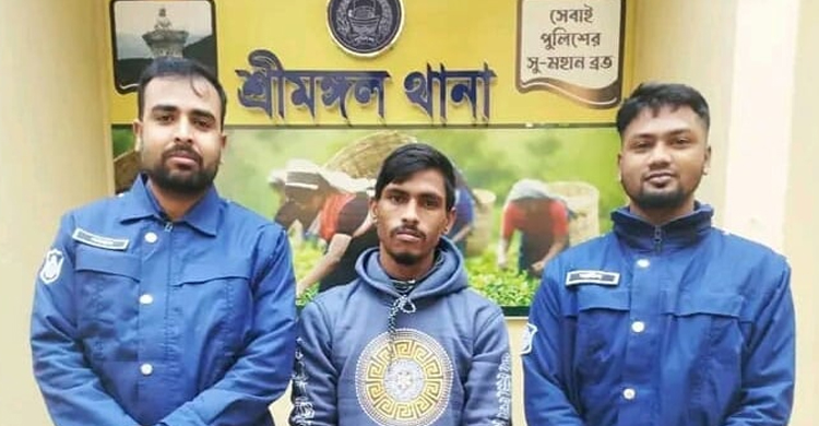 শ্রীমঙ্গল সাজাপ্রাপ্ত আসামি গ্রে ফ তা র