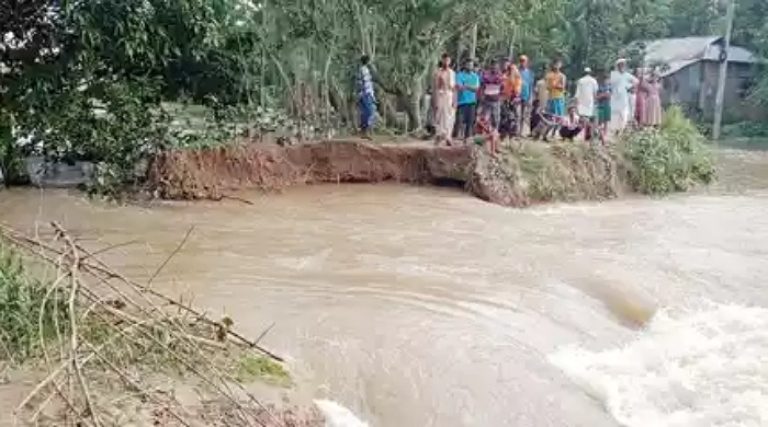 হবিগঞ্জের বাহুবলে করাঙ্গী নদীতে ভাঙ্গনের ফলে ফসলী জমি ও বাড়িঘর প্লাবিত 