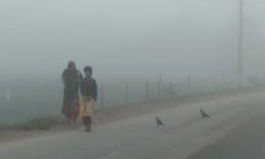 শীত নিয়ে দুঃসংবাদ