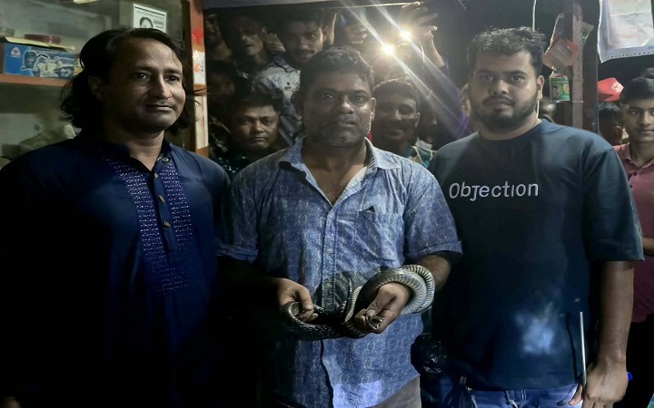 শ্রীমঙ্গলে  দোকান থেকে উদ্ধার হওয়া দাঁড়াশ সাপ বন বিভাগের কাছে হস্তান্তর