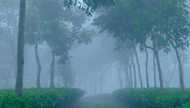 শীতে কাঁ*পছে শ্রীমঙ্গল, সর্বনিম্ন তাপমাত্রা রেকর্ড
