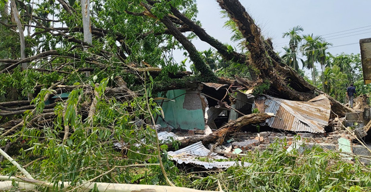 লাখাইয়ে কালবৈশাখীর তা*ন্ডবে ল ন্ড ভ ন্ড ঘরবাড়ি : ৮ টি গরুর মৃ*ত্যু