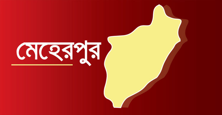 মেহেরপুরে মা দ ক সহ আ ট ক মা ও ছেলে