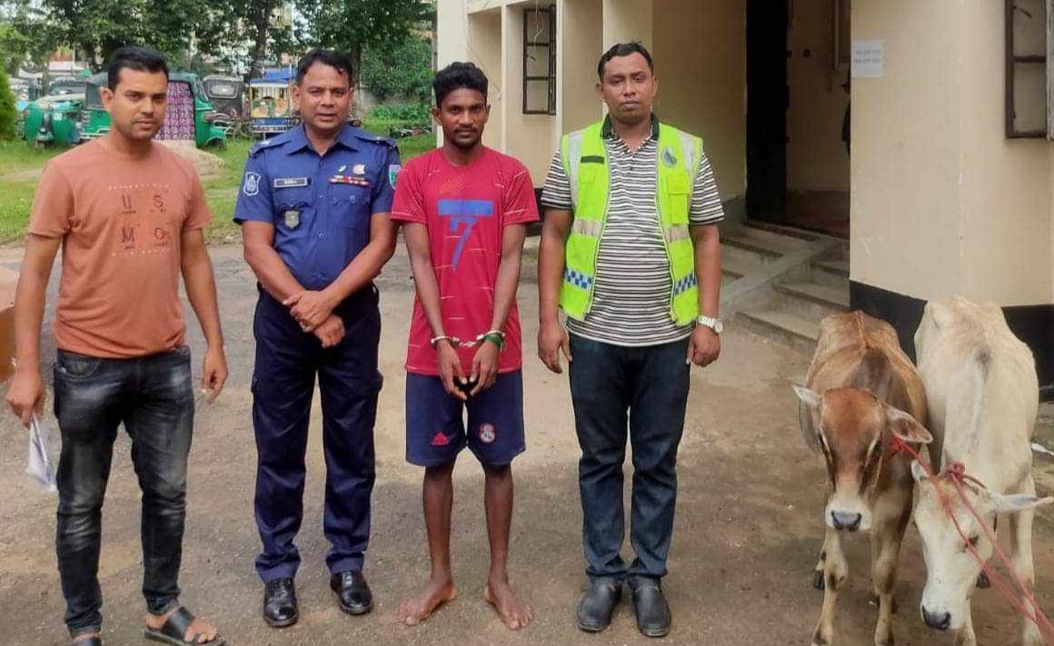 চুনারুঘাট সীমান্তে ভারতীয় গরুসহ যুবক আটক
