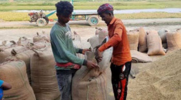 বোরো সংগ্রহে হবিগঞ্জে লক্ষ্যমাত্রা অর্জনে শঙ্কা