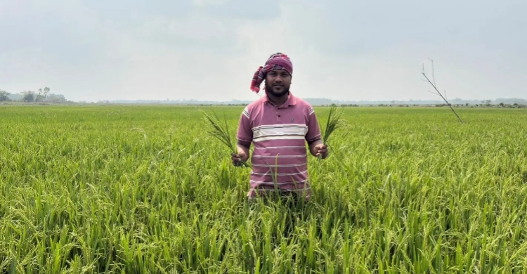 গোয়াইনঘাটে কৃষিতে সাংবাদিক কাওছার আহমদ রাহাত এর সাফল্য