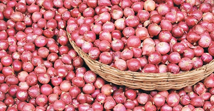 পেঁয়াজ আমদানির পরও কমছে না দাম