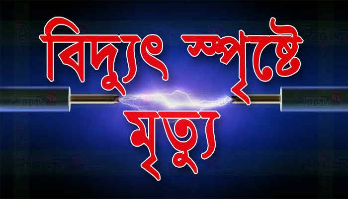 আজমিরীগঞ্জে বিদ্যুৎপৃষ্টে বানিয়াচংয়ের কলেজ ছাত্রের মৃত্যু 