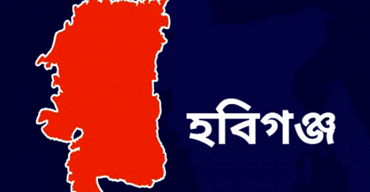 হবিগঞ্জে তুচ্ছ বিষয় নিয়ে সং ঘ র্ষে আ হ ত ১২
