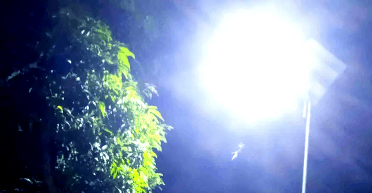 বড়লেখায় সৌর বাতিতে আলোকিত গ্রামীণ রাস্তা,কমবে অপরাধ বাড়বে নিরাপত্তা