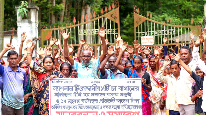 টানা তিন দিন ধরে কর্মবিরতিতে এনটিসির চা বাগানগুলোর শ্রমিকরা