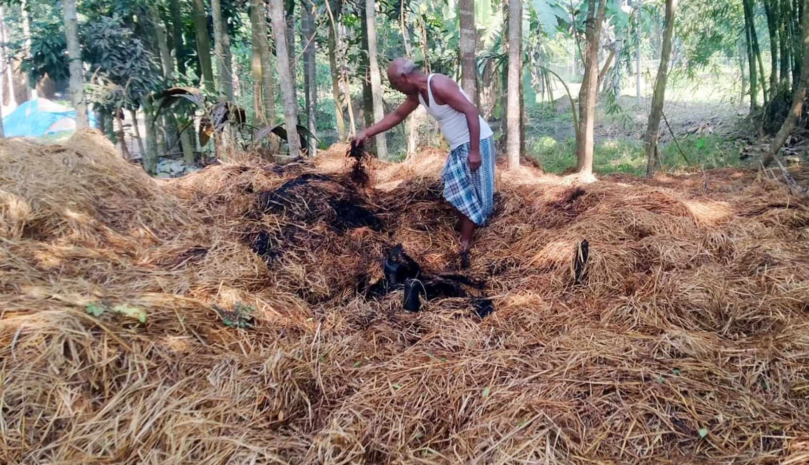 কমলগঞ্জে কৃষকের খড়ের গাদায় আগুন দেয়ার অভিযোগ, ৩০ হাজার টাকার ক্ষতি