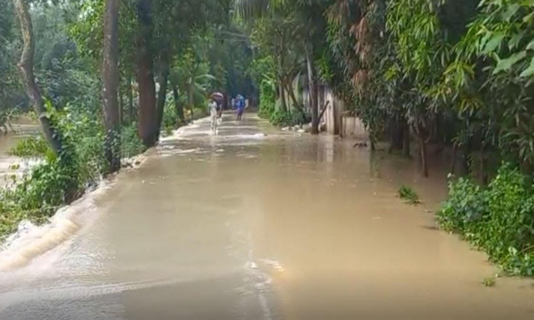 হবিগঞ্জে নদীর বাঁধ ভে'ঙে পানিবন্দি হাজারো মানুষ