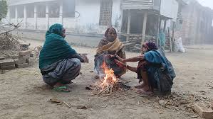 মৃদু শৈত্যপ্রবাহের কবলে ৭ জেলা
