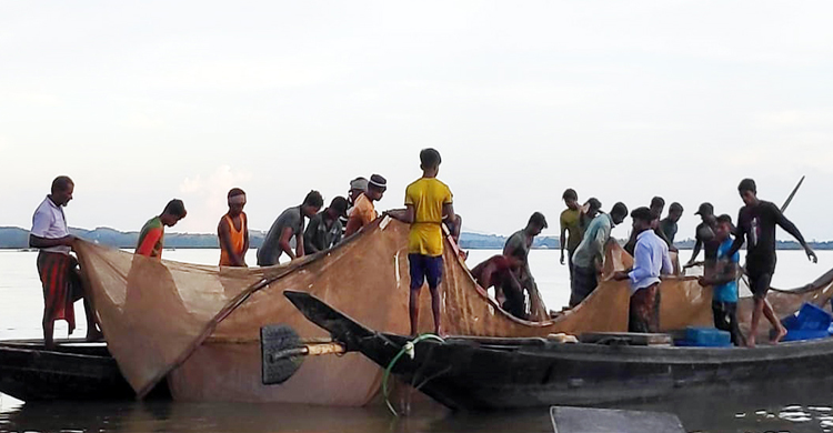 মৌলভীবাজারে হাকালুকিতে অবাধে নি ষি দ্ধ জাল দিয়ে চলছে মাছ শি কা র