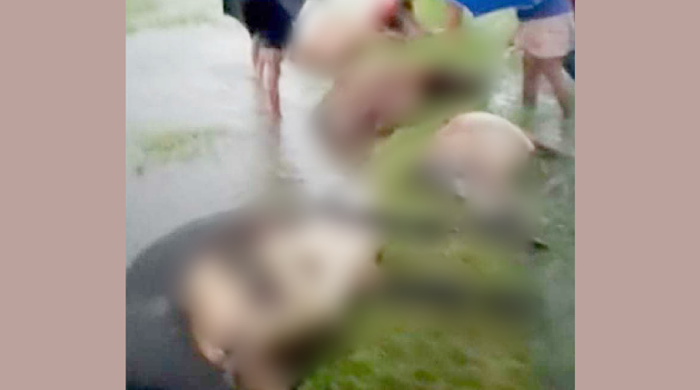 মাধবপুরে বজ্রপাতে  ৪ গরুর মৃত্যু 