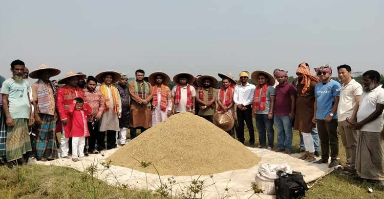 বছরের প্রথমদিনে জগন্নাথপুরে বোরো ধান কা*টার উৎসব