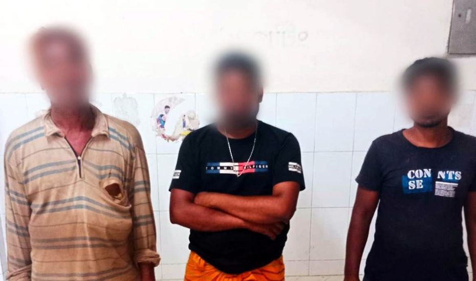 সিলেটে ভা*রতীয় মহিষসহ আ*টক ৩