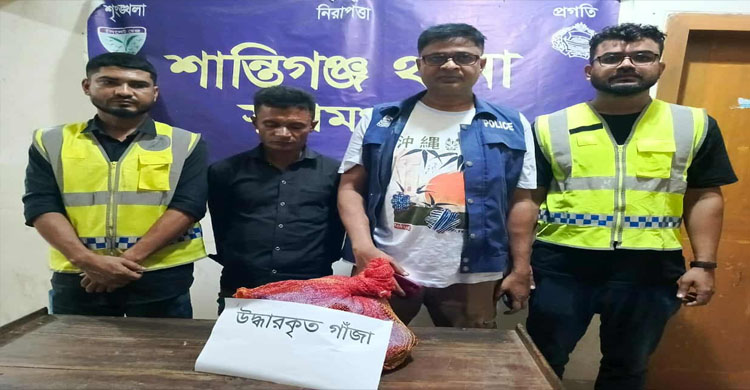 শান্তিগঞ্জে ২ কেজি গাঁ জা সহ মা দ ক ব্যবসায়ী আ ট ক