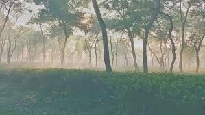 সর্বনিম্ন তাপমাত্রায় কাঁপছে শ্রীমঙ্গল