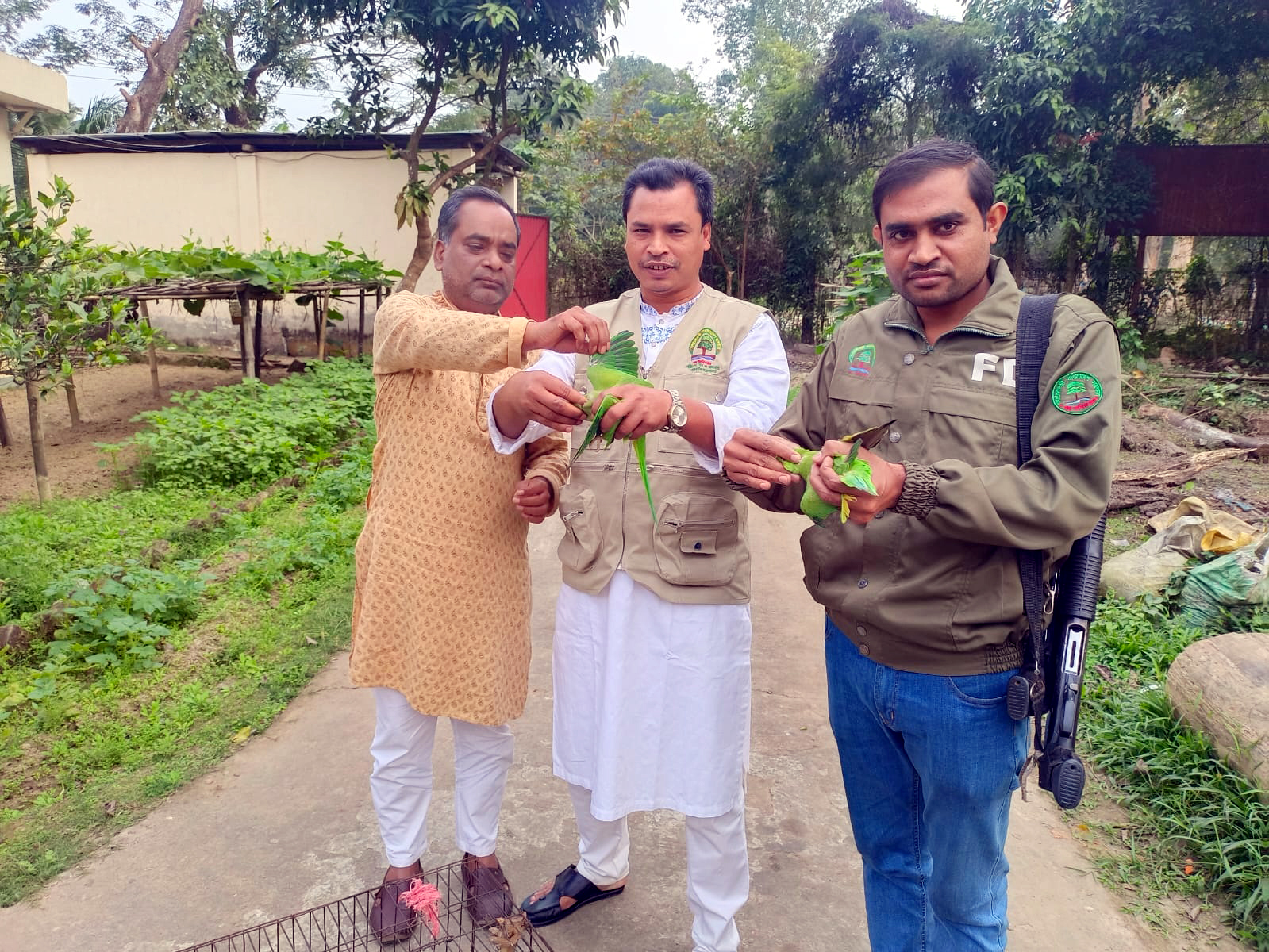খাঁচায় বন্দি ৩টি টিয়া পাখি উড়ে গেলো আপন নীড়ে