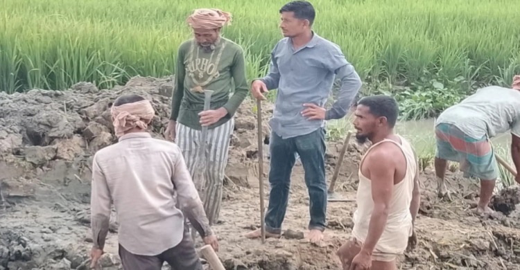 আজমিরিগঞ্জে কুশিয়ারা ও কুদালিয়া নদী দীর্ঘ দিন খনন না হওয়ায় কৃষকের স্বপ্ন বাচাতে স্বেচ্ছায় খাল খনন